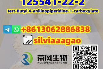  CAS.125541222 tertButyl 4anilinopiperidine1carboxylate 